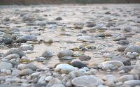 River Pebbles