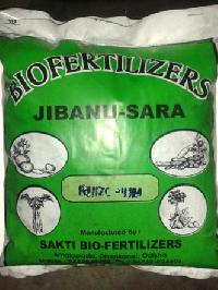 Rhizobium Biofertilizer