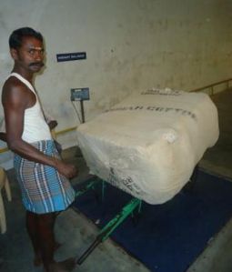 Cotton Bales Controlling Supervision