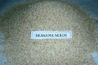 Sesame Seeds