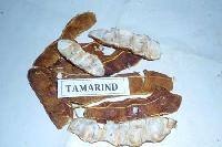 Tamarind