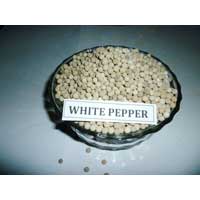 White Pepper Seeds