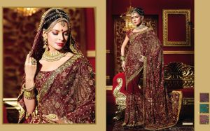 Rich Emroidered Indian Bridal Saree