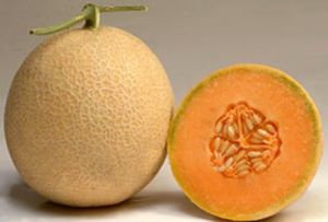 Fresh Muskmelon