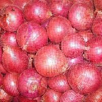 Fresh Onions