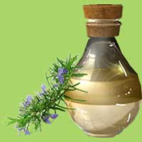 Rosemary Oil