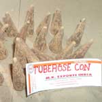 Tuberose Cone