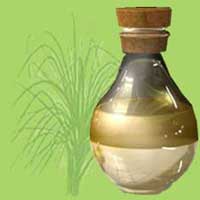 Vetiver Oil