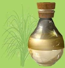 Vetiver Oil