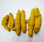 Turmeric Finger