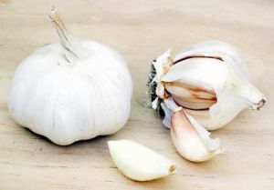 Fresh Garlic