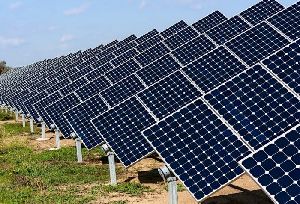 solar panel plant