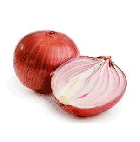 Onion