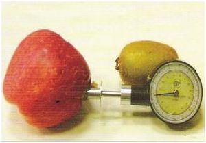 FRUIT FIRMNESS TESTER (PENETROMETER)