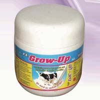 Grow UP Powder