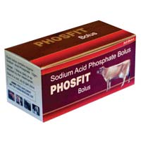 Phosfit Bolus