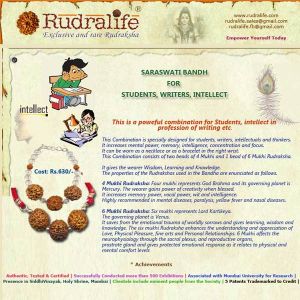 Power Combination Rudraksha