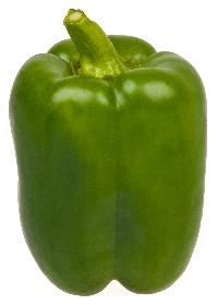 Green Pepper