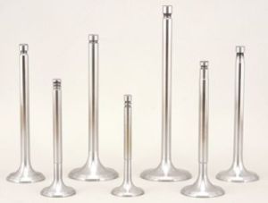 Engine Valves - Pranco - 01