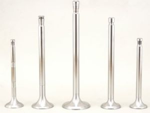 Engine Valves - Pranco - 02