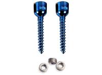 mono axial screws