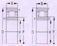 Single Row Cylindrical Roller Bearing - 02