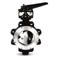 High Performance Butterfly Valve