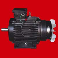 Industrial Motors