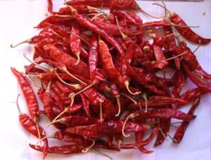 Dry Red Chili