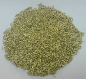 Fennel Seeds