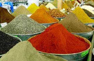 Spices Powder