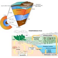 Elearning Software for Basics of Environmental Studies