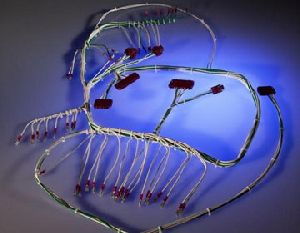 Medical Equipment Wiring Harness