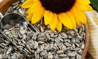 Sunflower Seed Meal
