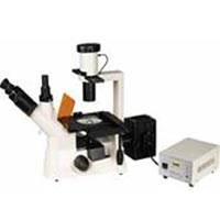 TF400 Tissue Culture Microscope