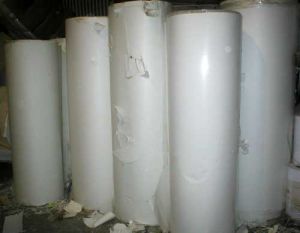 Unprinted  Poly Coated Cup Stock