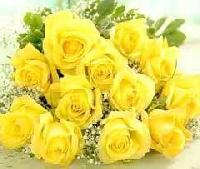 15 Yellow Rose Bunch