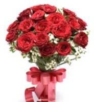 20 Red Rose Bunch