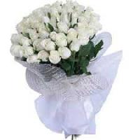 50 White Rose Bunch