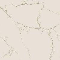 Neptune Vitrified Tile