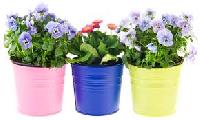 garden flower pots