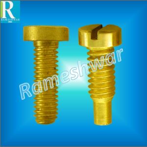 Brass Screw