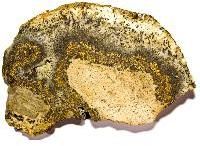 Gold Ore