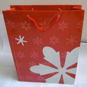 Paper Carry Bags (CIMG0776)