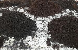 Decomposed Organic Coco Peat