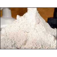 Barley Malt Flour