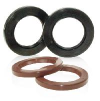 Rotary Seals