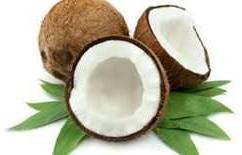 Coconut