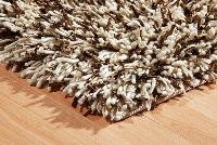 Fancy Shaggy Rug