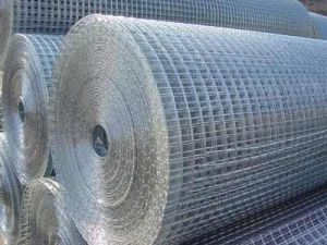 Galvanized Iron Welded Mesh